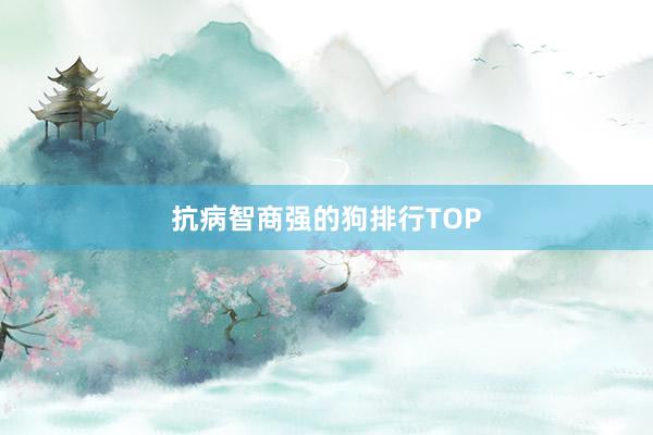 抗病智商强的狗排行TOP