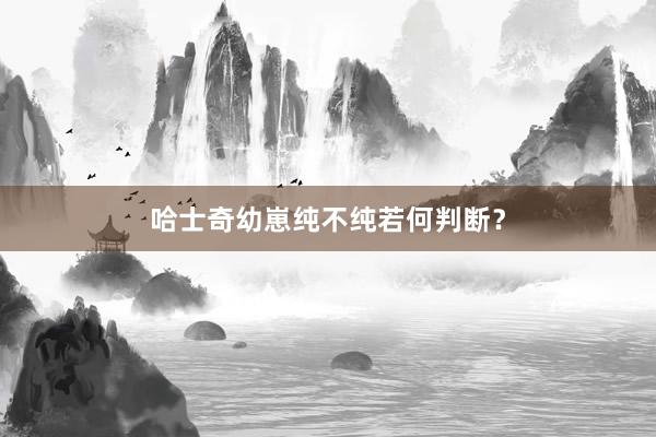 哈士奇幼崽纯不纯若何判断？